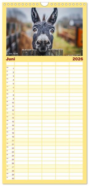 Produktbild: Familienplaner 2026 - Lustige Eselgeschichten mit 5 Spalten (Wandkalender, 21 x 45 cm) CALVENDO