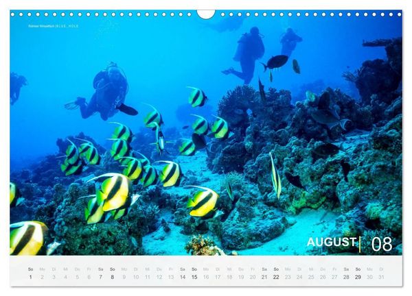 Produktbild: Die sch&ouml;nsten Korallenriffe zum Tauchen in &Auml;gypten (Wandkalender 2027 DIN A3 quer), CALVENDO Monatskalender