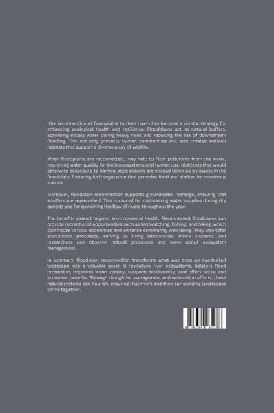Produktbild: From Buffer to Boon: How Floodplain Reconnection Benefits Rivers and Beyond