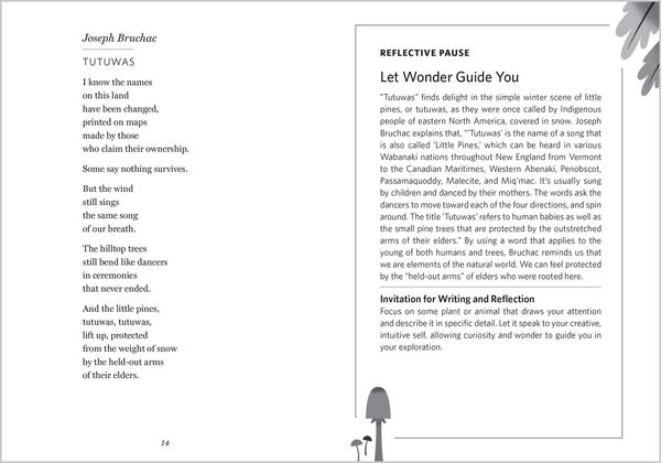 Produktbild: The Wonder of Small Things