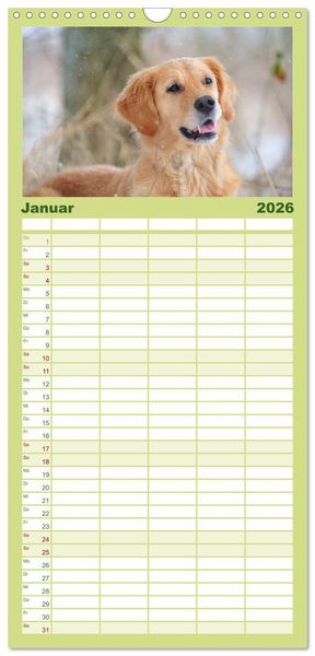 Produktbild: Familienplaner 2026 - Golden Retriever mit 5 Spalten (Wandkalender, 21 x 45 cm) CALVENDO