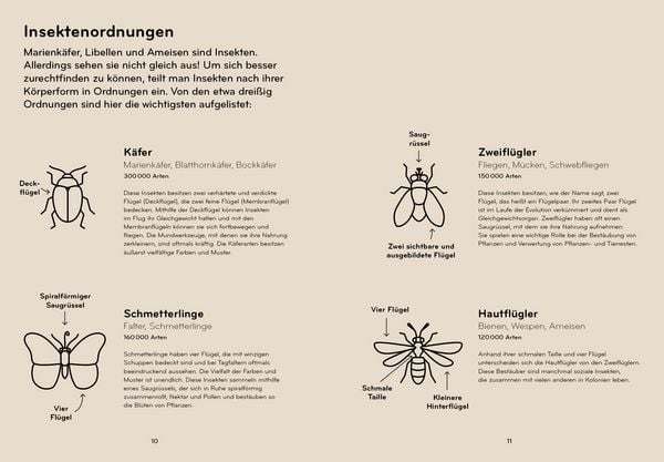 Produktbild: Insektorama