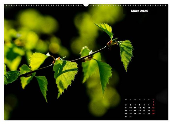 Produktbild: Der Natur auf der Spur - Makro-Fotografien der besonderen Art (hochwertiger Premium Wandkalender 2026 DIN A2 quer), Kunstdruck in Hochglanz