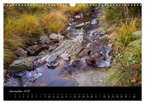 Produktbild: Hochmoor Hohes Venn (Wandkalender 2026 DIN A3 quer), CALVENDO Monatskalender