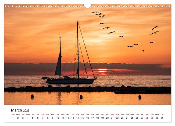 Produktbild: Tropical Vibes (Wall Calendar 2026 DIN A3 landscape), CALVENDO 12 Month Wall Calendar