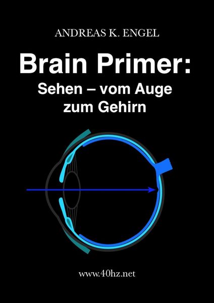 Produktbild: Brain Primer: Sehen - vom Auge zum Gehirn