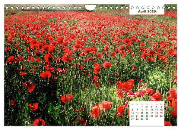 Produktbild: Umbrian Countryside (Wall Calendar 2026 DIN A4 landscape), CALVENDO 12 Month Wall Calendar