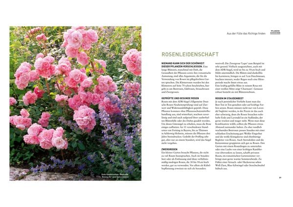 Produktbild: Mein sch&ouml;ner pflegeleichter Garten. Gewusst wie - geschickte Garten-Planung und Pflanzenauswahl