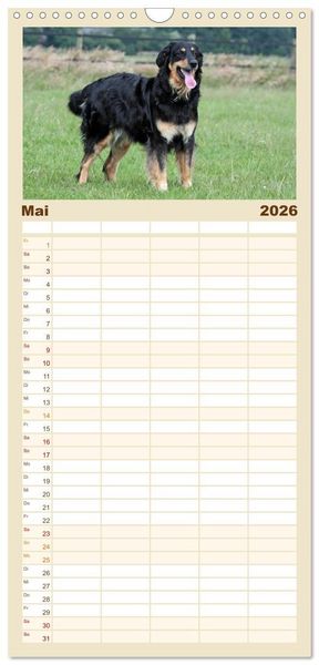 Produktbild: Familienplaner 2026 - Hovawarte - einmal anders mit 5 Spalten (Wandkalender, 21 x 45 cm) CALVENDO