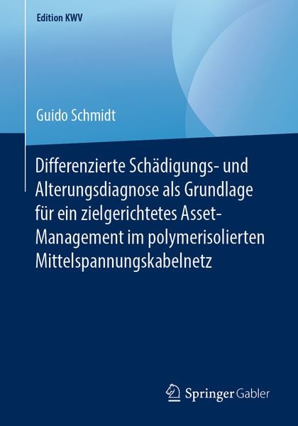Produktbild: Differenzierte Sch&auml;digungs- und Alterungsdiagnose als Grundlage f&uuml;r ein zielgerichtetes Asset-Management im polymerisolierten Mittelspannungskabelnetz