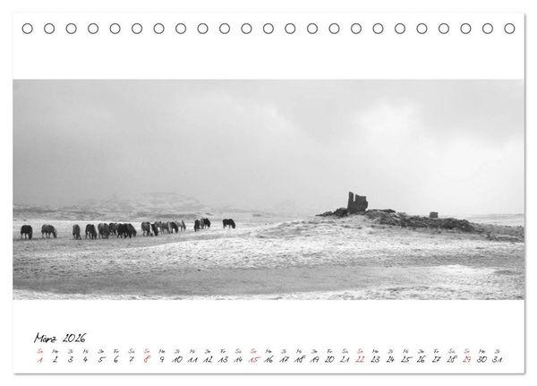 Produktbild: Islandpferde von Brimilsvellir (Tischkalender 2026 DIN A5 quer), CALVENDO Monatskalender