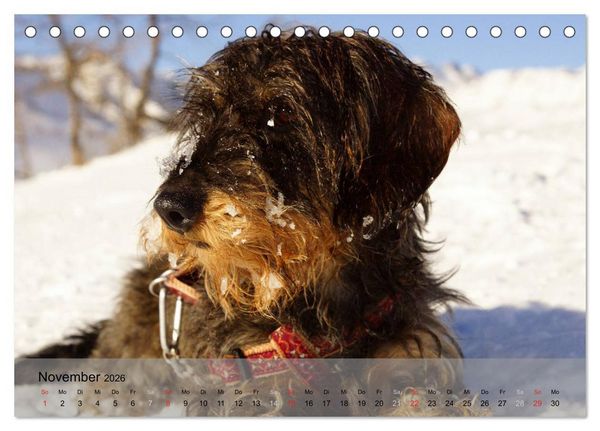 Produktbild: Liebenswerte Clowns (Tischkalender 2026 DIN A5 quer), CALVENDO Monatskalender