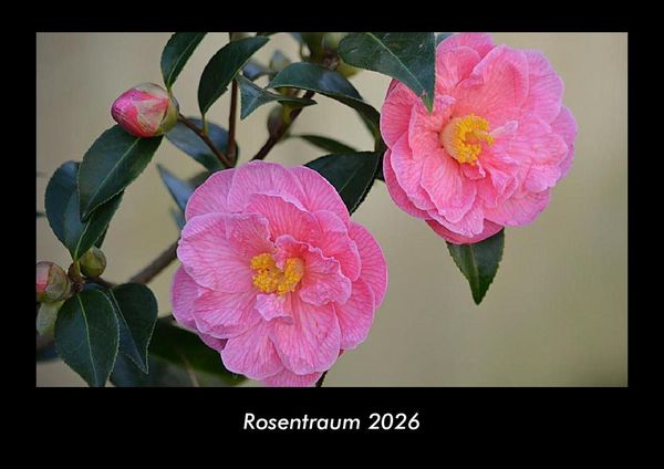 Rosentraum 2026 Fotokalender DIN A3