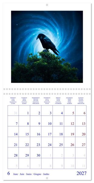 Produktbild: The Forest Fellowship (Wall Calendar 2027 12 &times; 12 Inch) CALVENDO 12 Month Wall Calendar