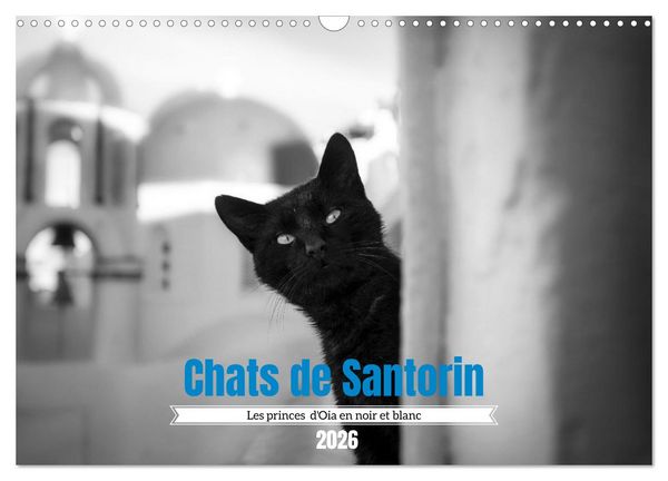 Produktbild: Chats de Santorin - Les princes d'Oia en noir et blanc (Calendrier mural 2026 DIN A3 vertical), CALVENDO calendrier mensuel