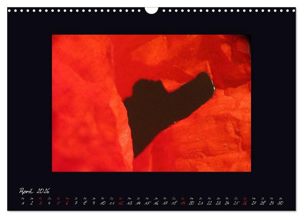 Produktbild: MOHNographie (Wandkalender 2026 DIN A3 quer), CALVENDO Monatskalender