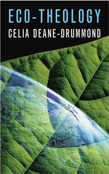 Produktbild: Eco-Theology