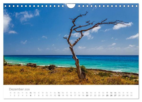 Produktbild: Cuba - Unter der Sonne der Karibik (Wandkalender 2026 DIN A4 quer), CALVENDO Monatskalender
