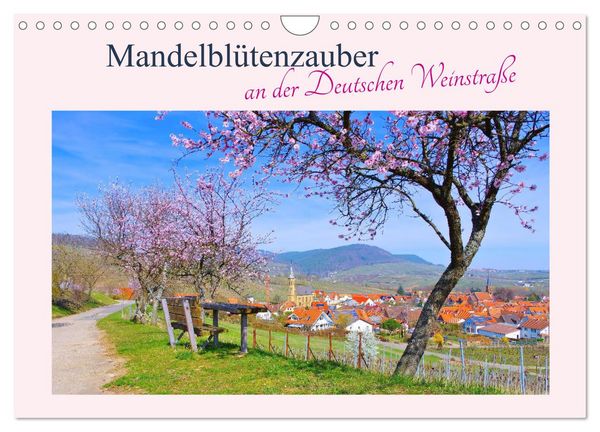 Produktbild: Mandelbl&uuml;tenzauber an der Deutschen Weinstra&szlig;e (Wandkalender 2026 DIN A4 quer), CALVENDO Monatskalender