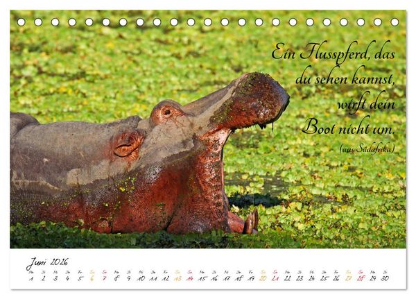 Produktbild: AFRIKA - Kontinent der Poesie (Tischkalender 2026 DIN A5 quer), CALVENDO Monatskalender