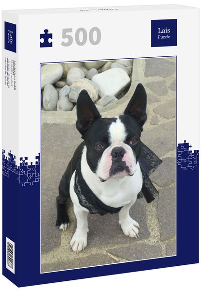 Lais Puzzle Boston Terrier 500 Teile