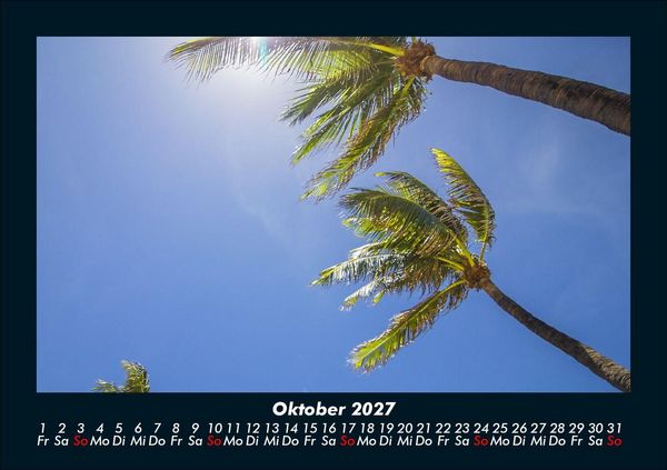 Produktbild: Palmentraum 2027 Fotokalender DIN A5