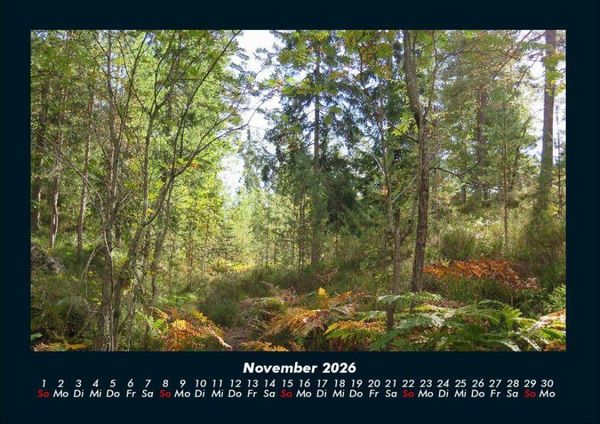 Produktbild: B&auml;ume 2026 Fotokalender DIN A4