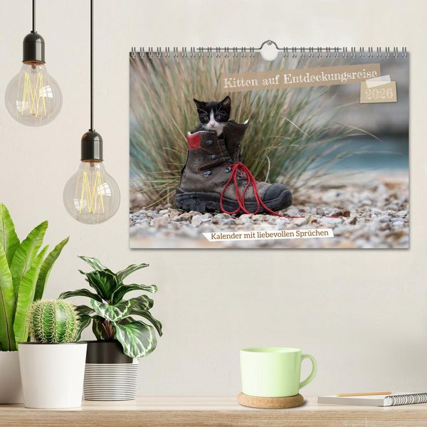 Produktbild: Kitten auf Entdeckungsreise (Wandkalender 2026 DIN A4 quer), CALVENDO Monatskalender