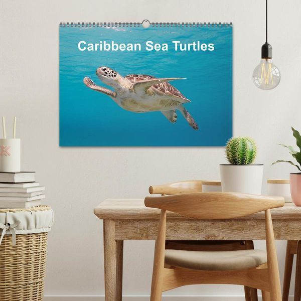 Produktbild: Caribbean Sea Turtles (Wall Calendar 2026 DIN A3 landscape), CALVENDO 12 Month Wall Calendar