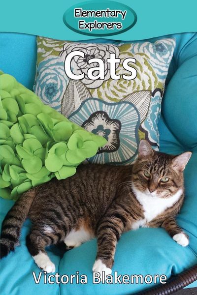 Produktbild: Cats