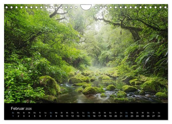 Produktbild: Traumziel Neuseeland 2026 (Wandkalender 2026 DIN A4 quer), CALVENDO Monatskalender