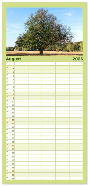 Produktbild: Familienplaner 2026 - Die Buche: 12 Baumportr&auml;ts mit 5 Spalten (Wandkalender, 21 x 45 cm) CALVENDO