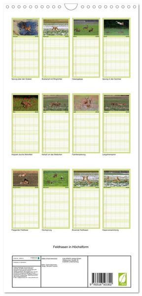 Produktbild: Familienplaner 2026 - Feldhasen in H&ouml;chstform mit 5 Spalten (Wandkalender, 21 x 45 cm) CALVENDO