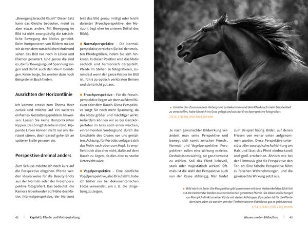 Produktbild: Pferde stilvoll fotografieren