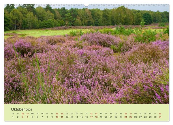 Produktbild: Wilde Blumen - ein Spaziergang durch die Natur (hochwertiger Premium Wandkalender 2026 DIN A2 quer), Kunstdruck in Hochglanz