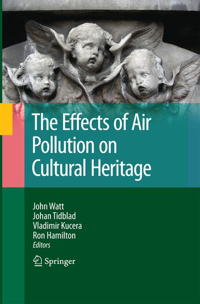 Produktbild: The Effects of Air Pollution on Cultural Heritage
