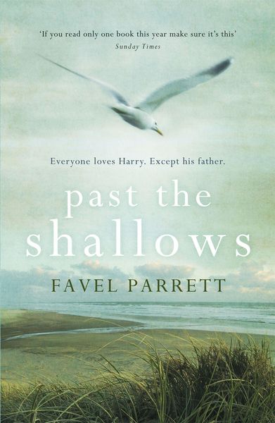 Produktbild: Past the Shallows