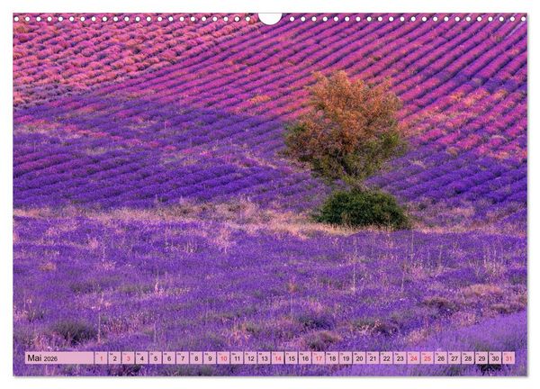 Produktbild: Provence, Lavendelzeit in S&uuml;dfrankreich (Wandkalender 2026 DIN A3 quer), CALVENDO Monatskalender