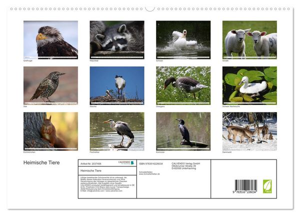 Produktbild: Heimische Tiere (hochwertiger Premium Wandkalender 2026 DIN A2 quer), Kunstdruck in Hochglanz