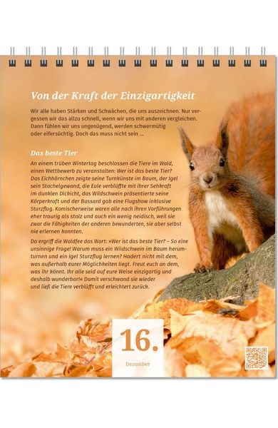 Produktbild: Der PAL Lebensfreude-Adventskalender 2026 &ndash; 24 Impulse f&uuml;r mehr Selbstliebe und Gelassenheit in der Vorweihnachtszeit