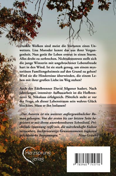 Produktbild: Dunkle Wolken &uuml;ber S&uuml;dtirol - Conducit