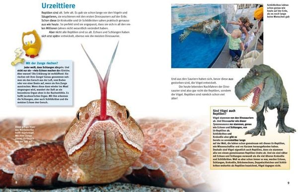 Produktbild: Entdecke die Reptilien