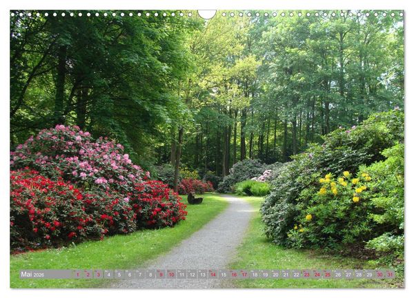 Produktbild: Bad Sassendorf (Wandkalender 2026 DIN A3 quer), CALVENDO Monatskalender
