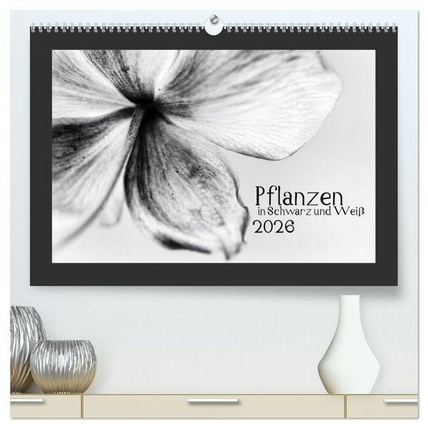 Produktbild: Pflanzen in Schwarz und Wei&szlig; (hochwertiger Premium Wandkalender 2026 DIN A2 quer), Kunstdruck in Hochglanz