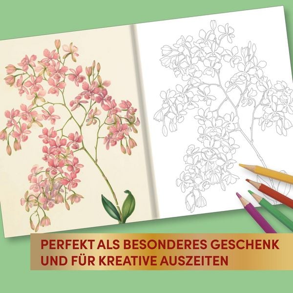 Produktbild: Kew Gardens - Florale Ausmaltr&auml;ume