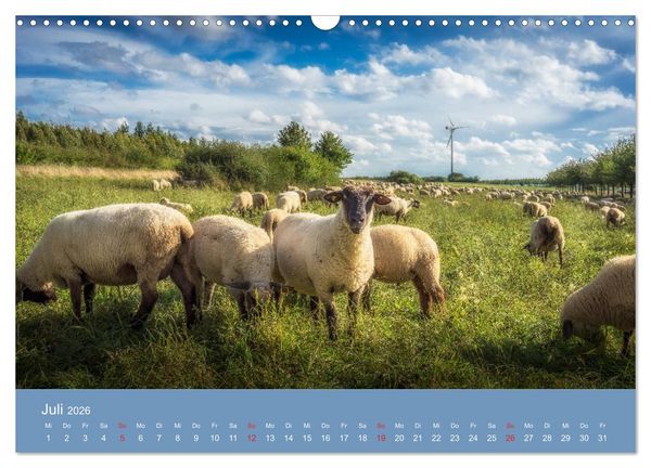 Produktbild: Kronsberg Hannover (Wandkalender 2026 DIN A3 quer), CALVENDO Monatskalender