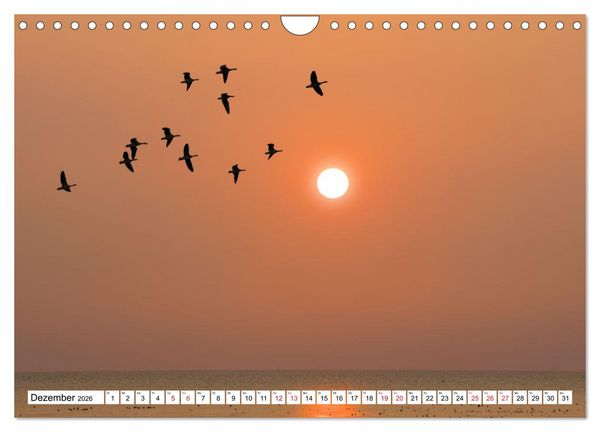 Produktbild: GREETSIEL - Schafe - Krabbenkutter - M&ouml;wen (Wandkalender 2026 DIN A4 quer), CALVENDO Monatskalender