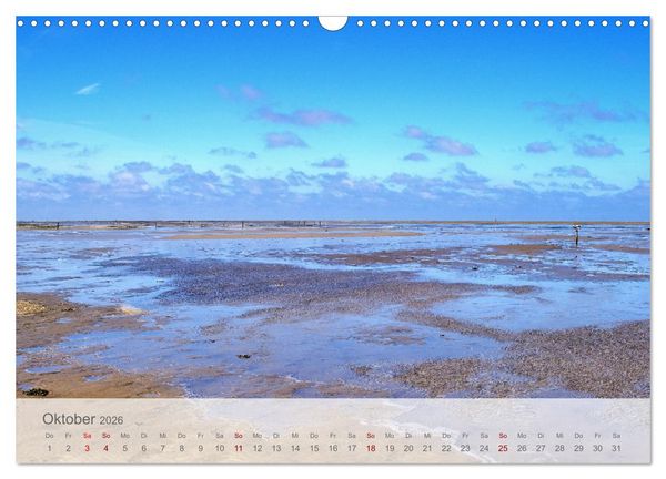 Produktbild: Salzwiesen, Schafe und Watt - Westerhever, ein Naturparadies an der Nordsee (Wandkalender 2026 DIN A3 quer), CALVENDO Monatskalender