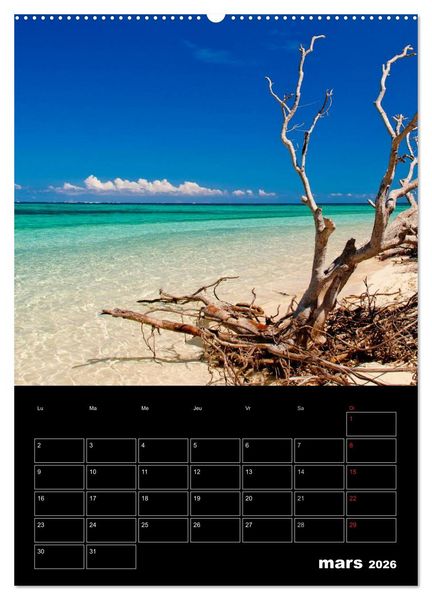 Produktbild: Paysages cal&eacute;doniens (Calendrier mural 2026 DIN A2 horizontal) calendrier de bureau
