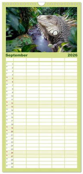 Produktbild: Familienplaner 2026 - Hallo Dschungel - Artwork mit 5 Spalten (Wandkalender, 21 x 45 cm) CALVENDO
